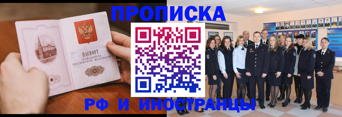 прописка поиск в Купино